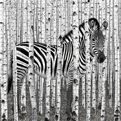 Puzzle Forêt de zèbres 1000 pièces