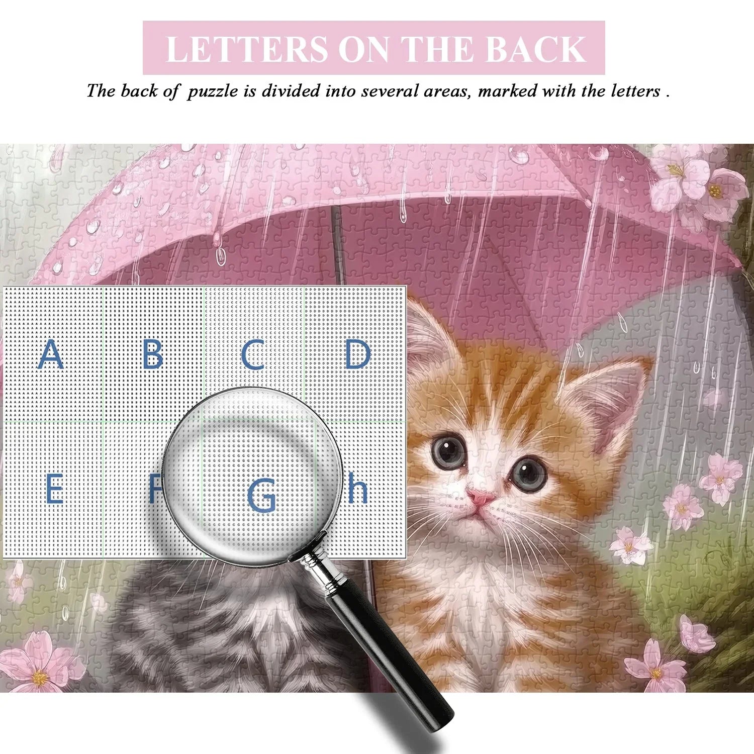 Rain Kittens Jigsaw Puzzle 1000 Pieces