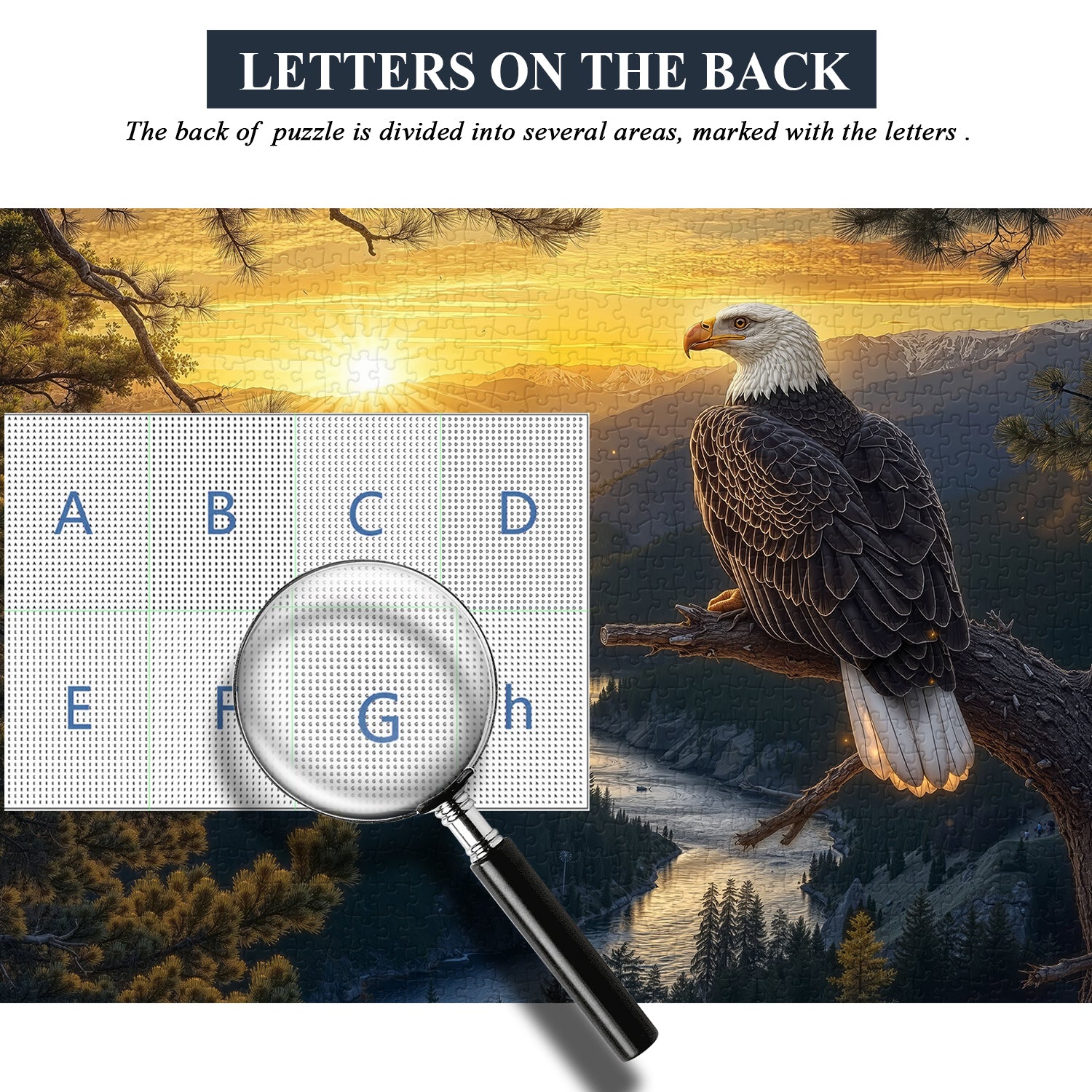 Puzzle Aquila al tramonto 1000 pezzi