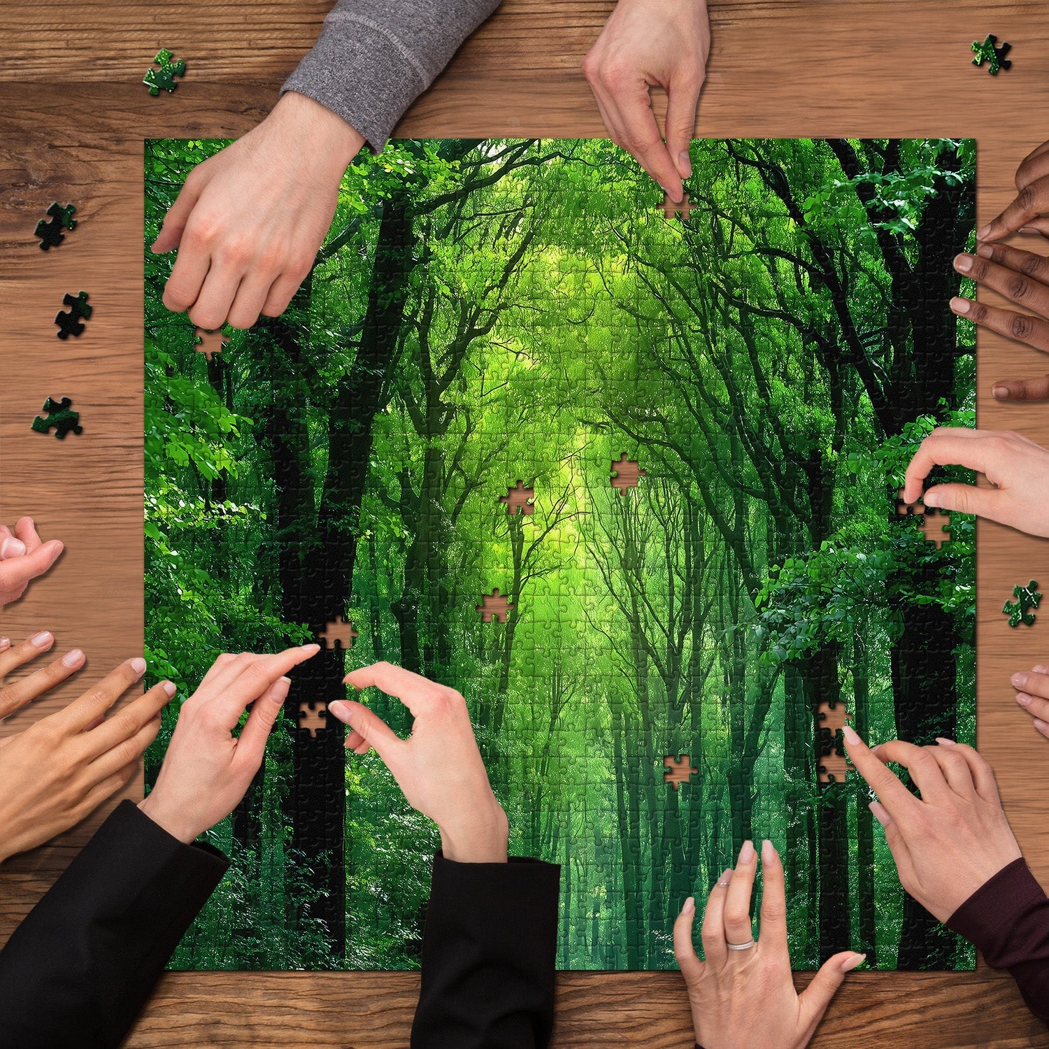 Peaceful Forest Jigsaw Puzzle 1000 Pieces