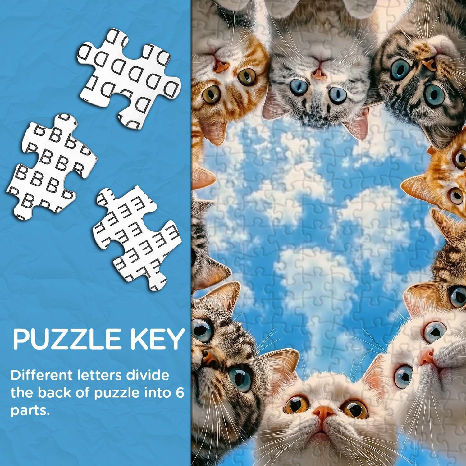Chat Chat regardant Puzzle 1000 pièces