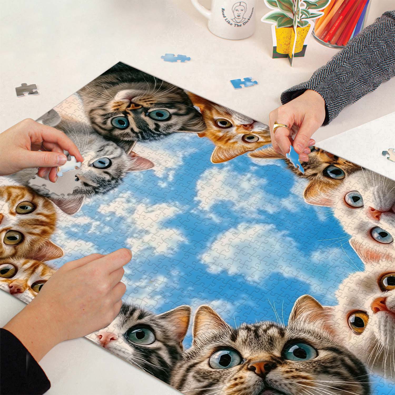 Chat Chat regardant Puzzle 1000 pièces