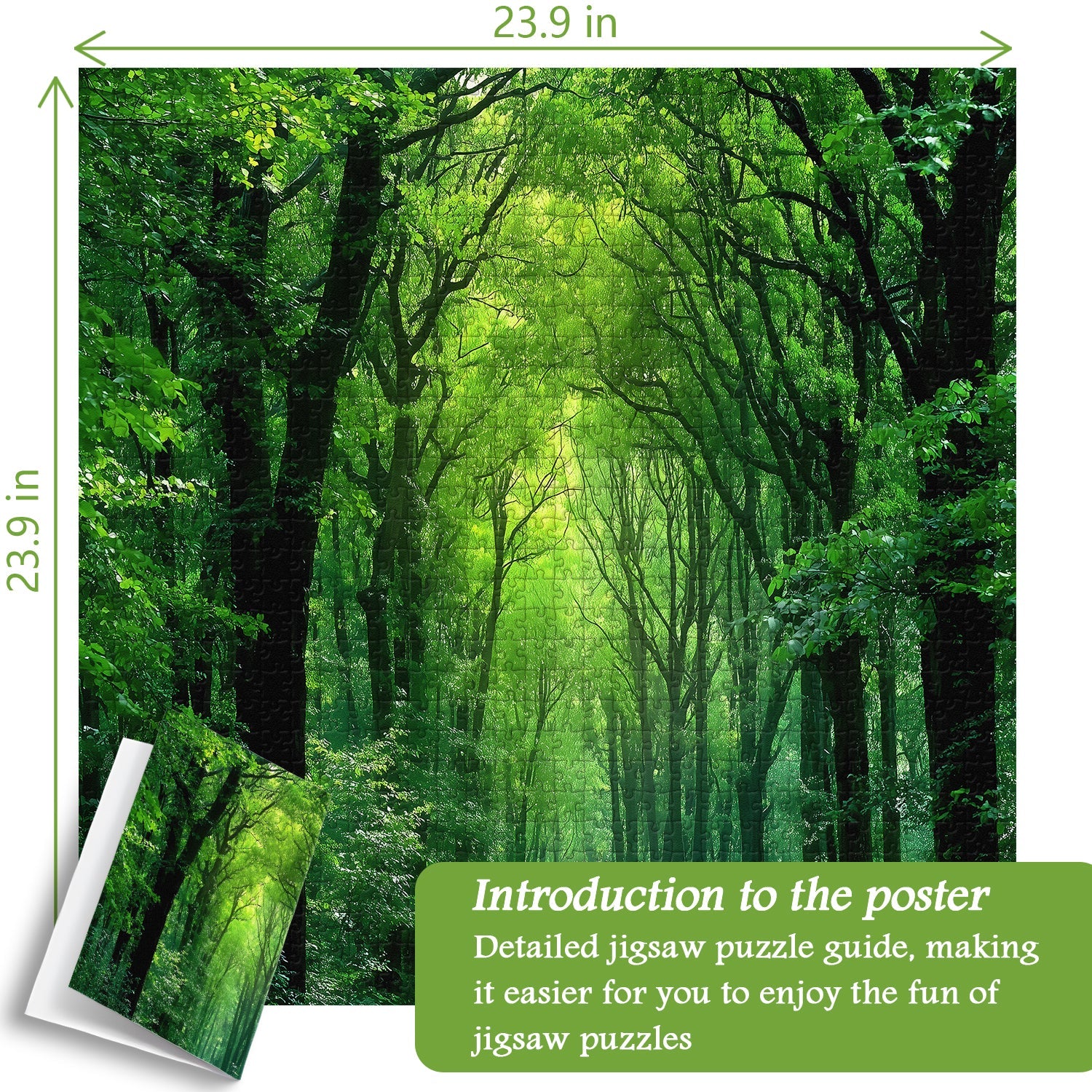 Peaceful Forest Jigsaw Puzzle 1000 Pieces