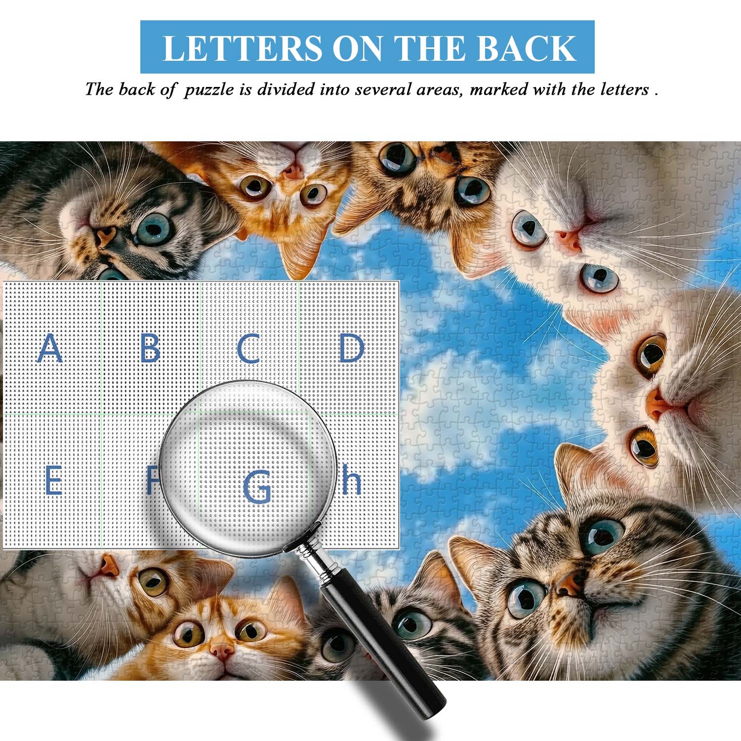 Chat Chat regardant Puzzle 1000 pièces