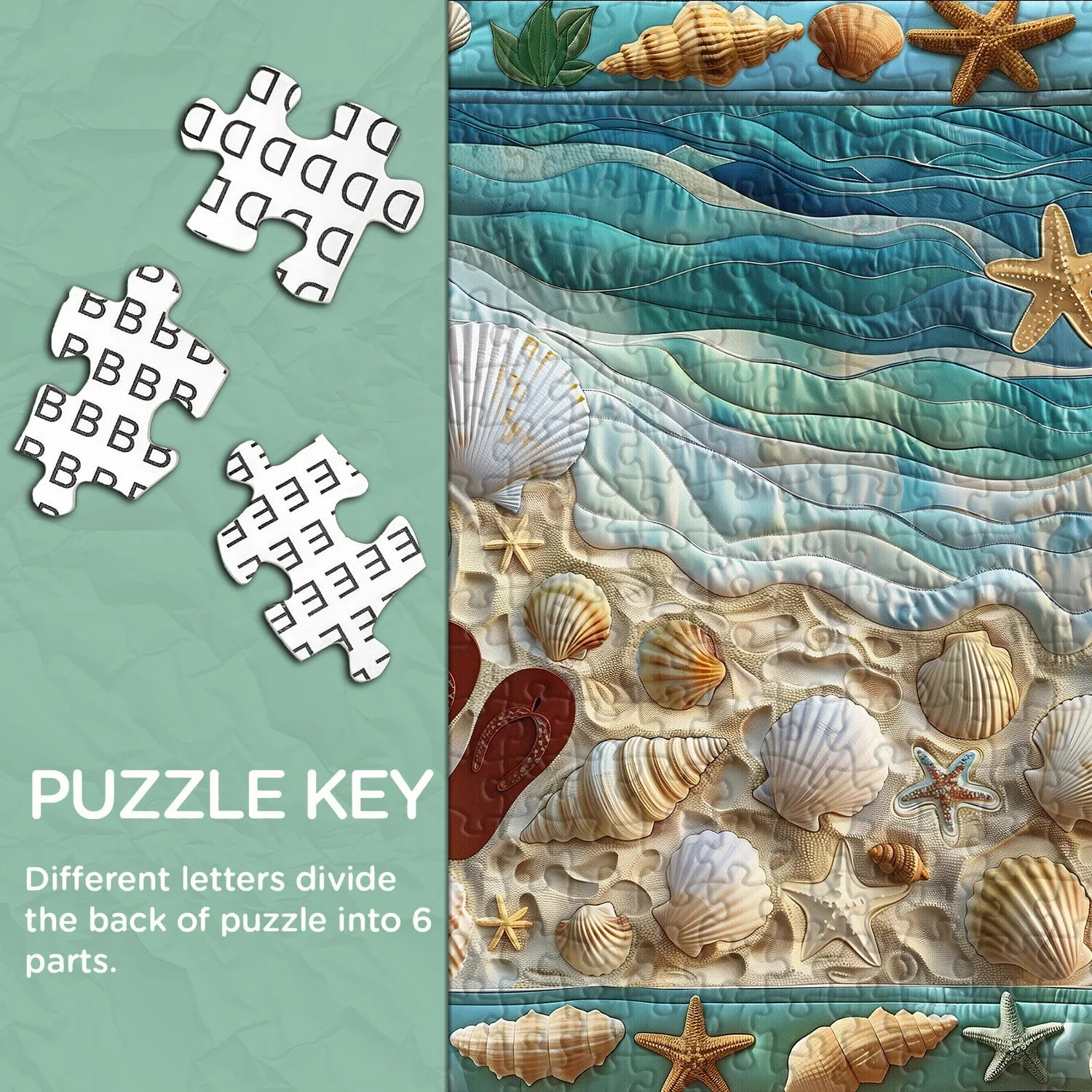 Seashell Beach Jigsaw Puzzle 1000 Pieces