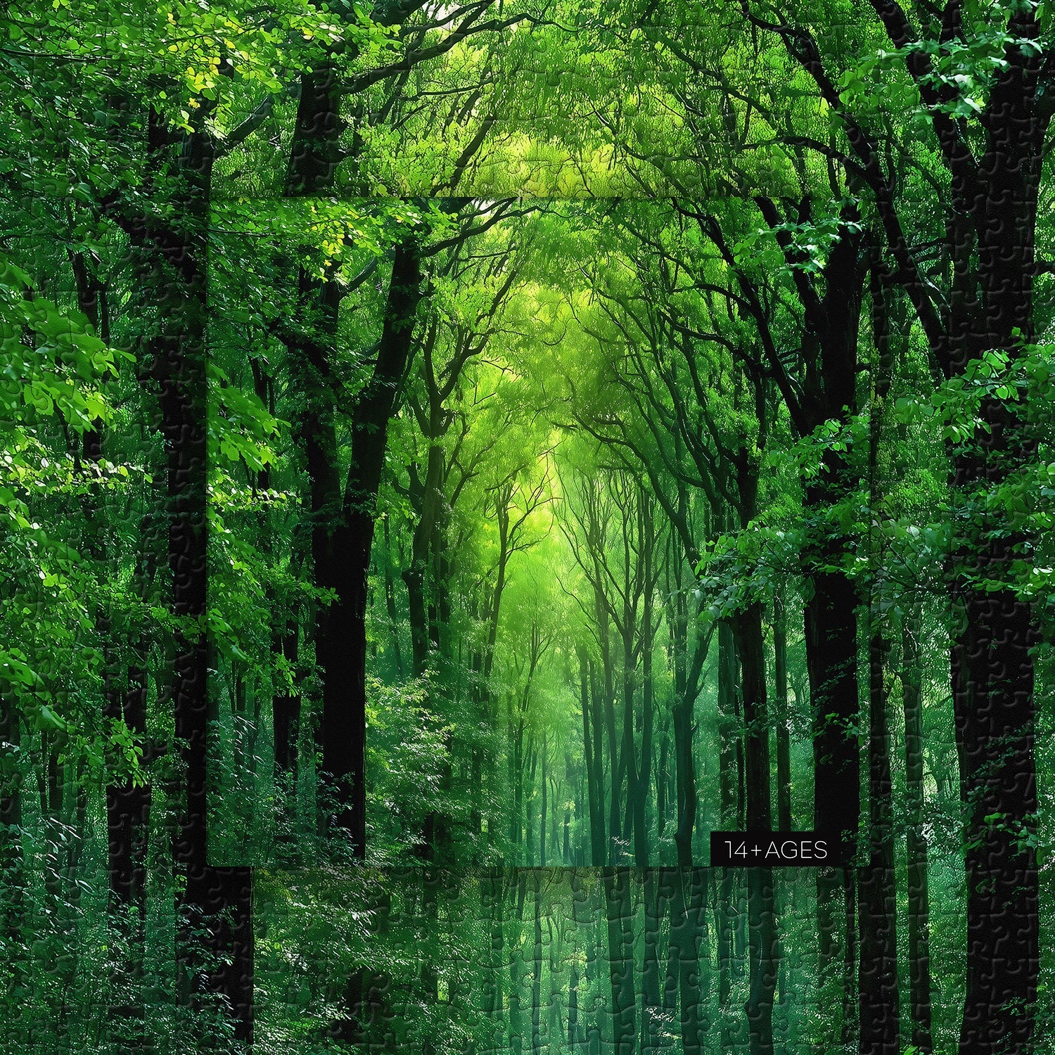 Peaceful Forest Jigsaw Puzzle 1000 Pieces