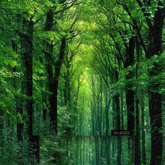 Peaceful Forest Jigsaw Puzzle 1000 Pieces