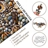 Stone Shell Owl Jigsaw Puzzle 1000 Pieces