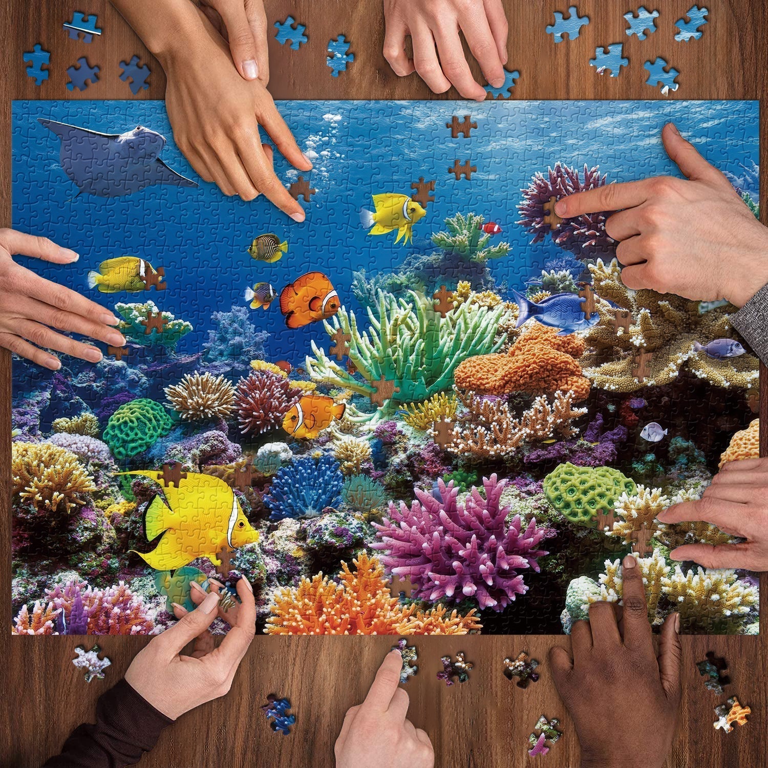 Coral Dream Jigsaw Puzzle 1000 Pieces