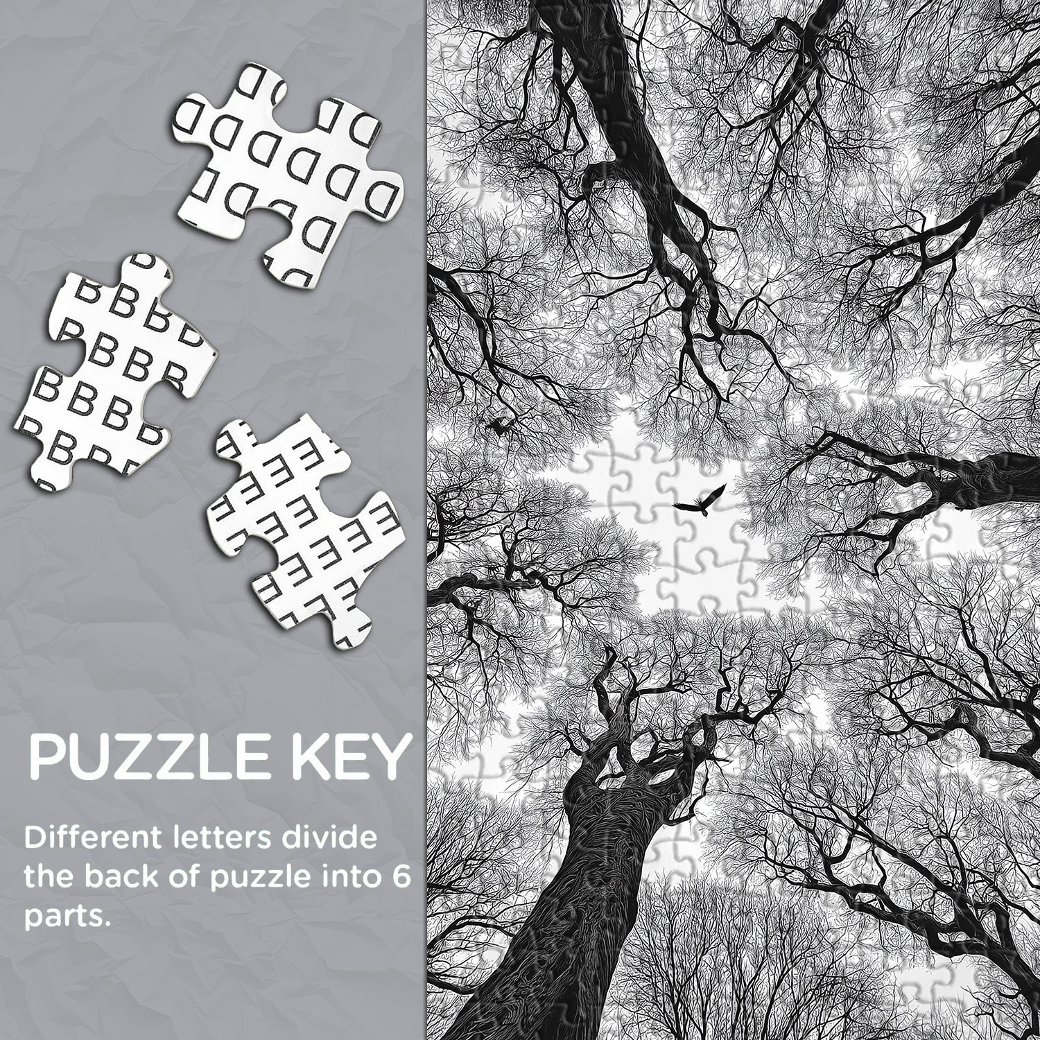 Black & White Trees Jigsaw Puzzle 1000 Pieces