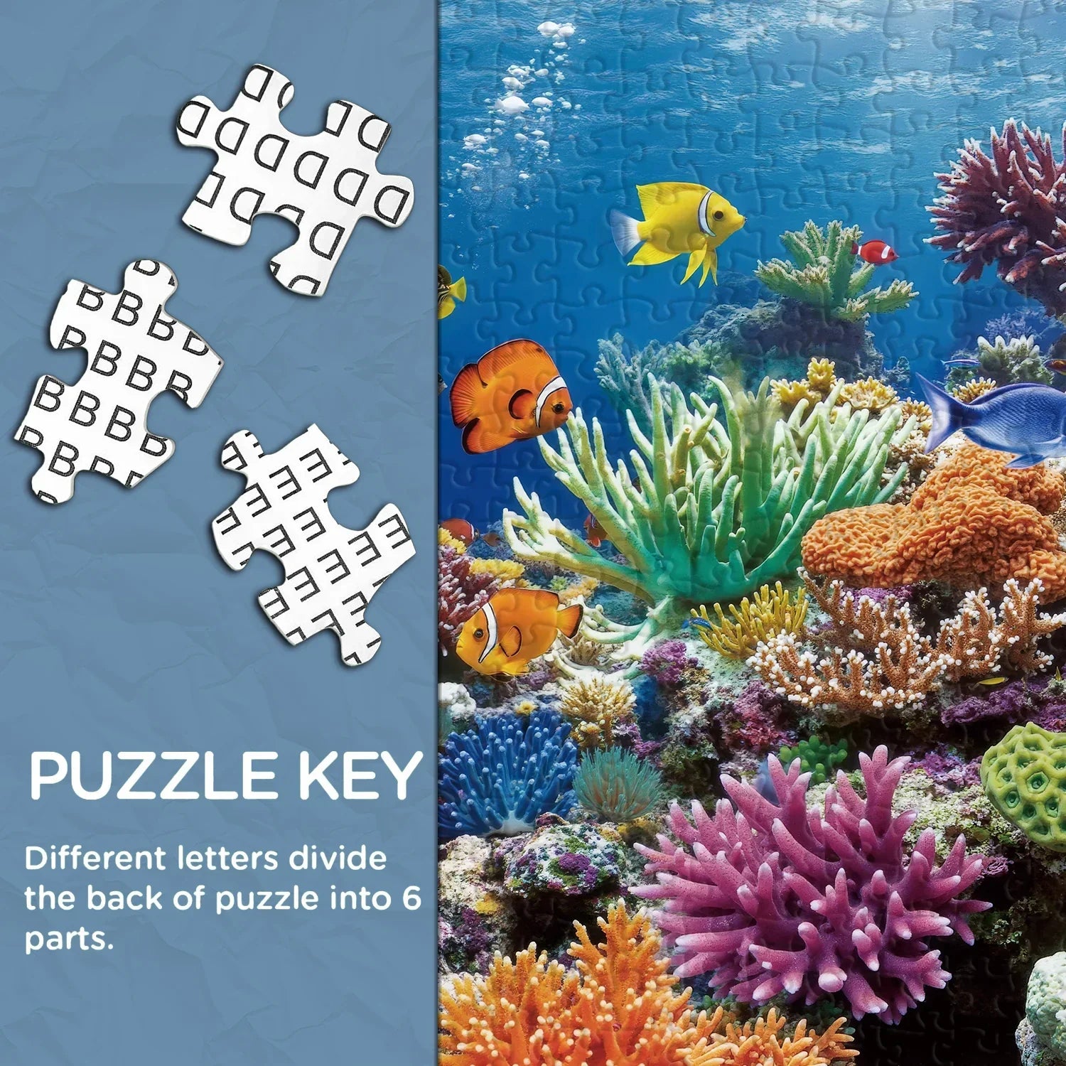 Coral Dream Jigsaw Puzzle 1000 Pieces