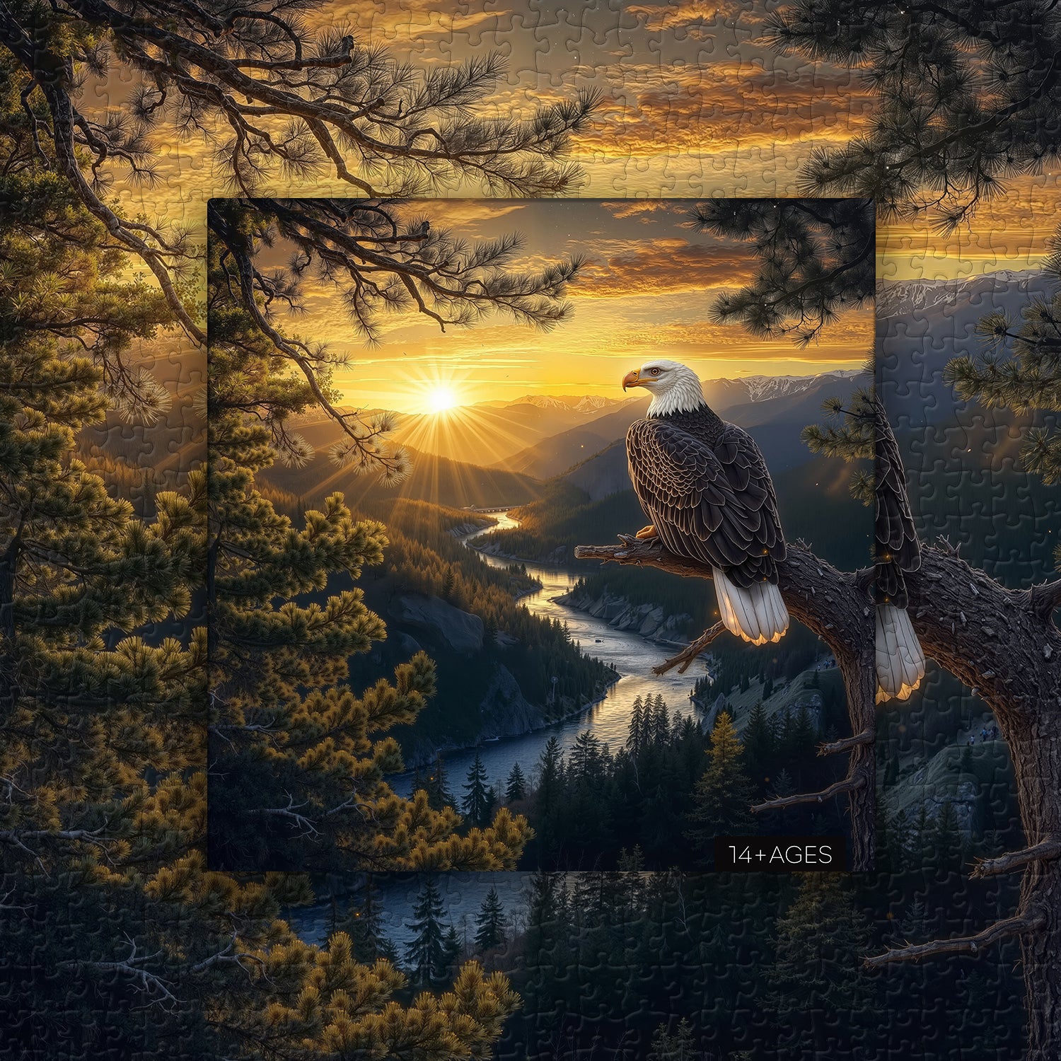 Puzzle Aquila al tramonto 1000 pezzi
