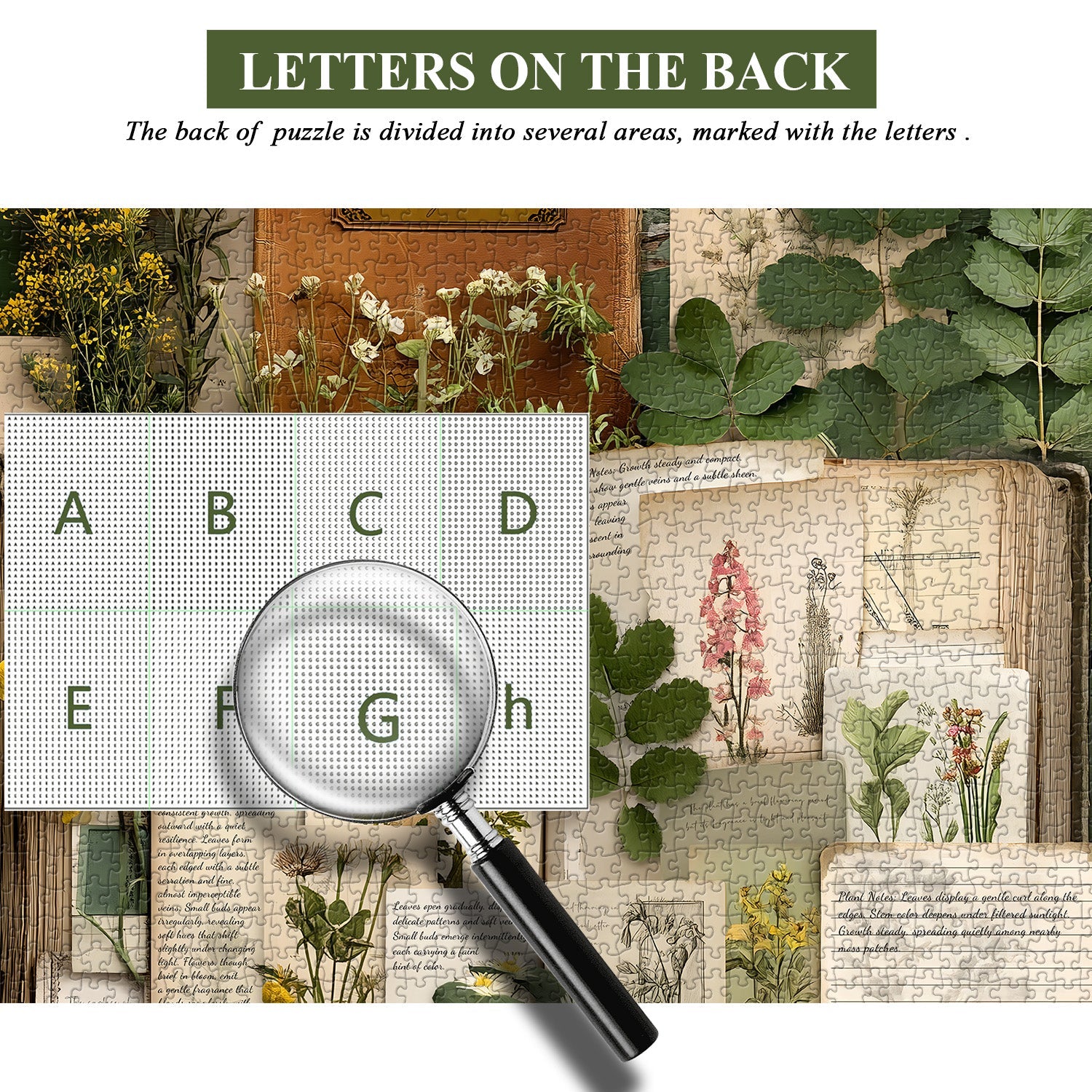 Rompecabezas de diario botánico vintage de 1000 piezas