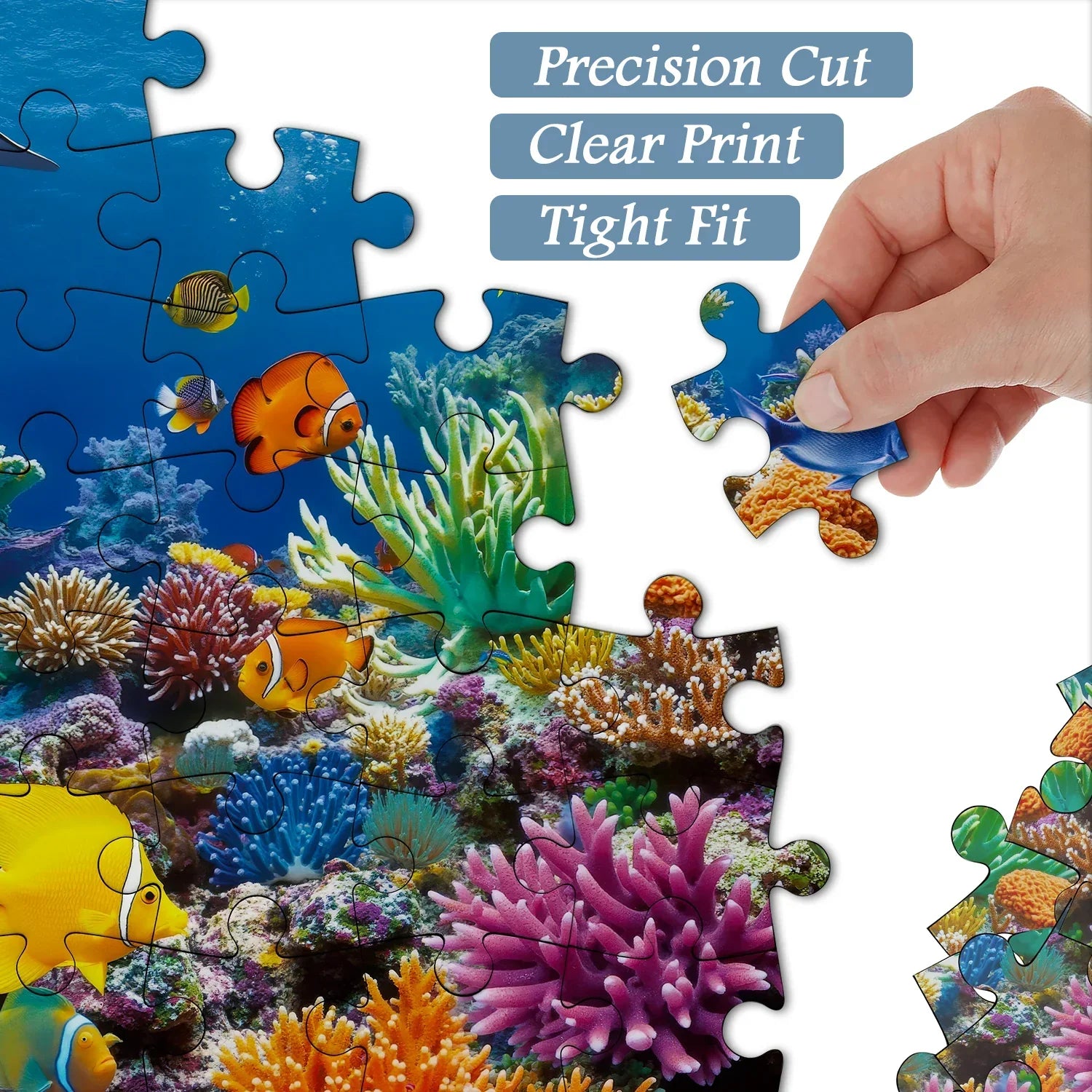 Coral Dream Jigsaw Puzzle 1000 Pieces