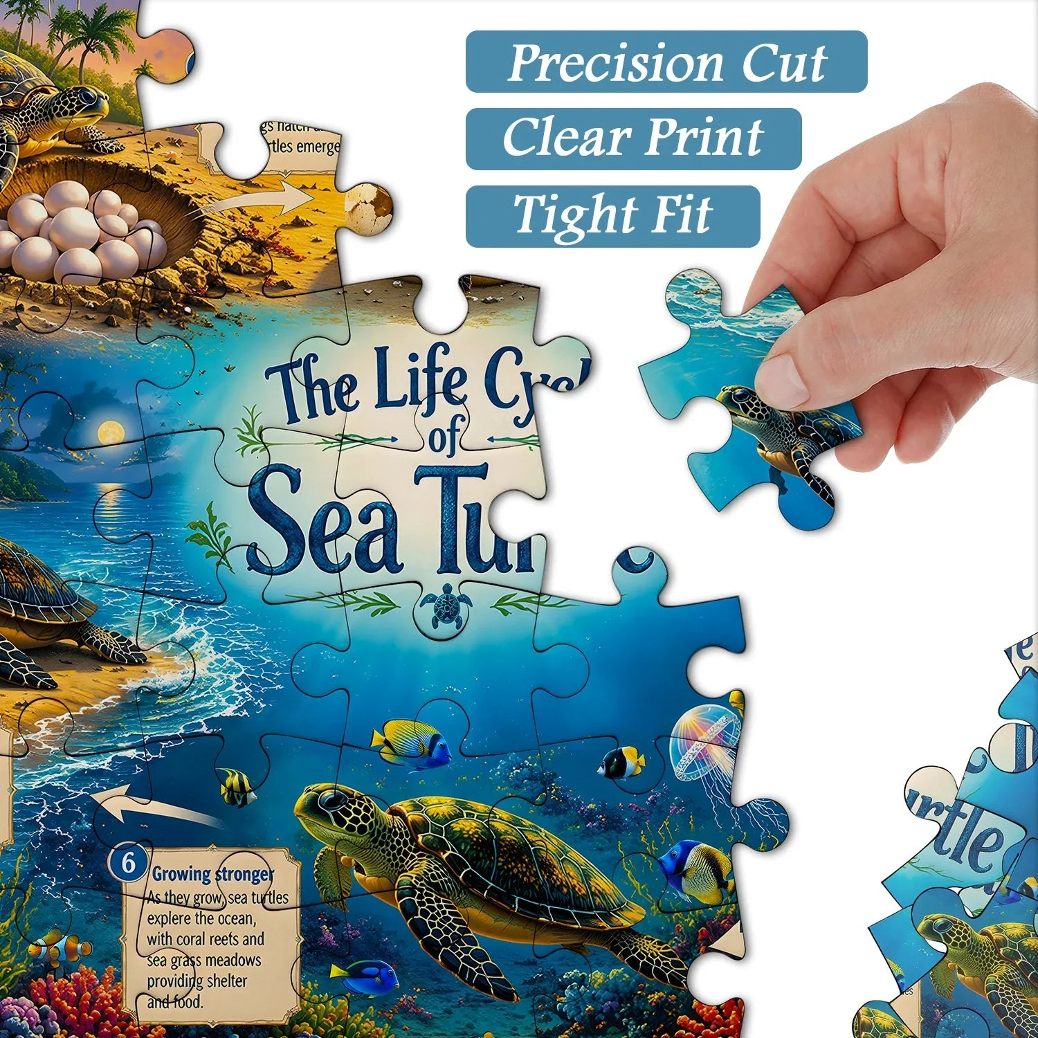 Meeresschildkröten-Lebensreise-Puzzle, 1000 Teile