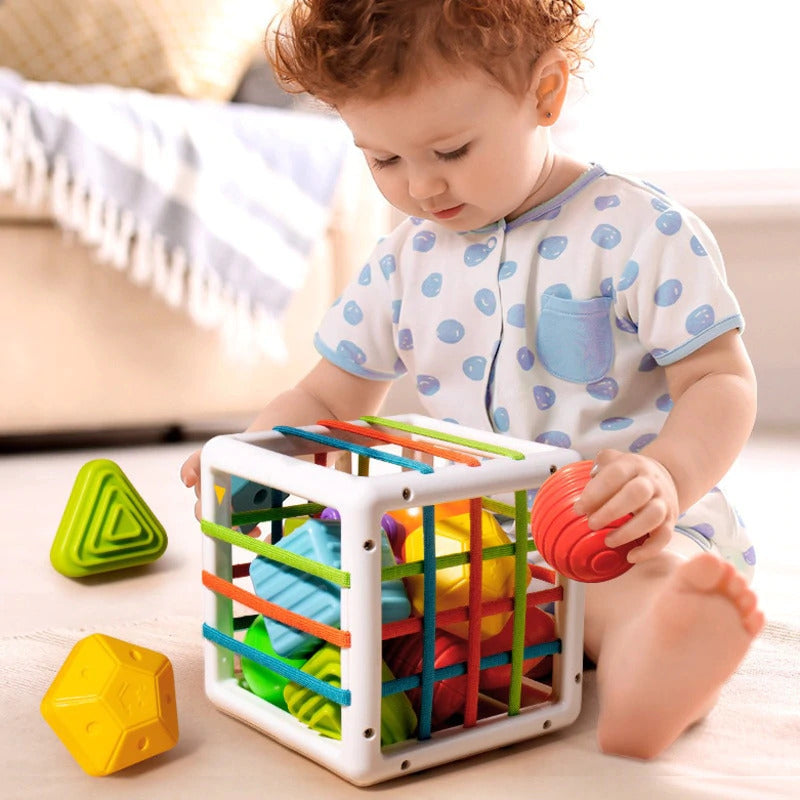 Montessori Shape Blocks