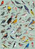 Backyard Birds Jigsaw Puzzle 1000 Pieces