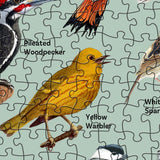 Hinterhofvögel Puzzle 1000 Teile 