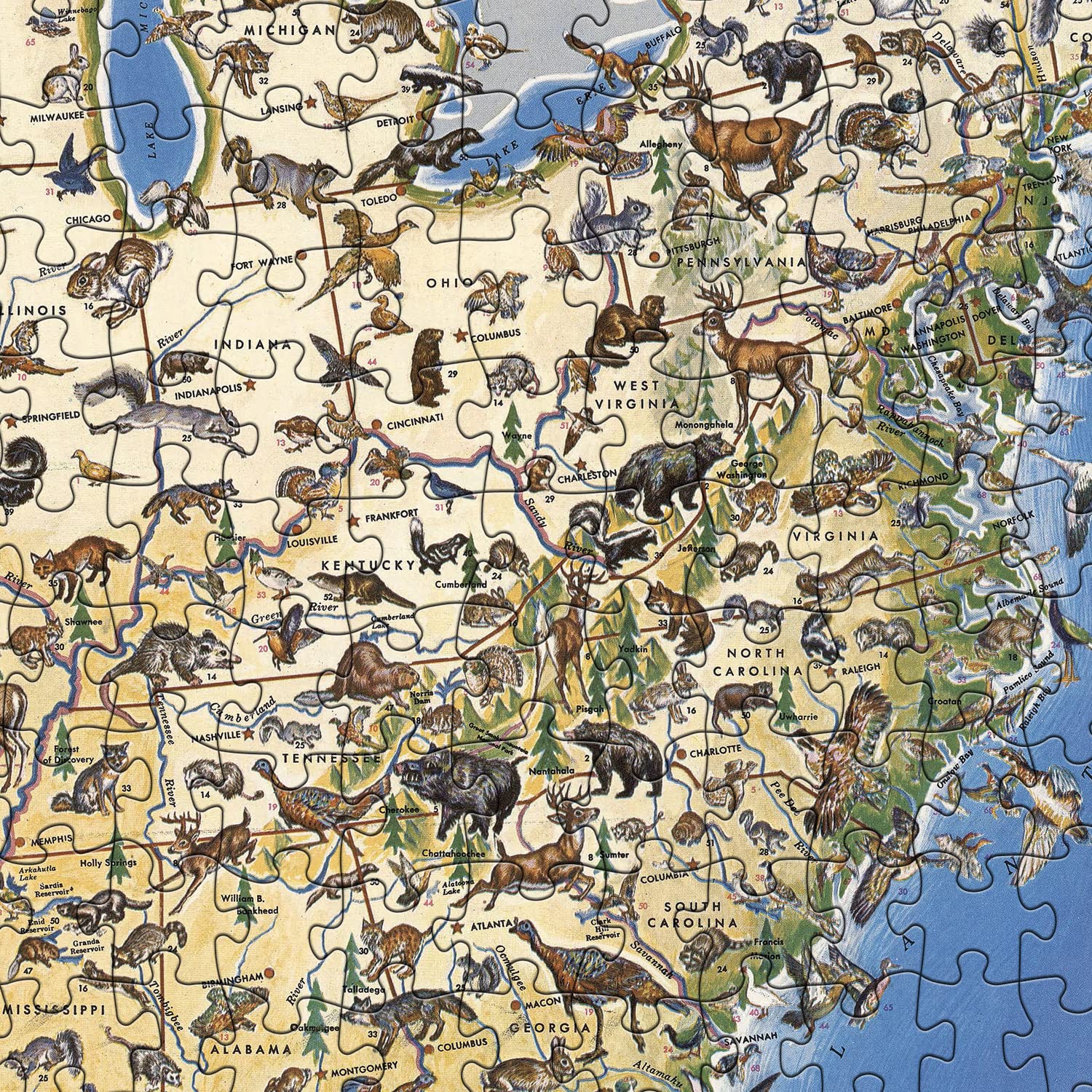 American Wildlife Jigsaw Puzzles 1000 Pieces