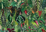 Zimmerpflanzen-Dschungel-Puzzle 1000 Teile