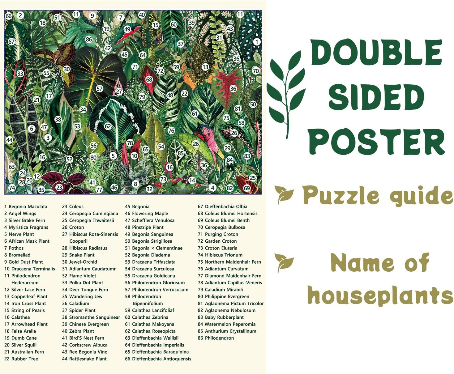Houseplant Jungle Jigsaw Puzzle 1000 Pieces