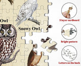 Owl Jigsaw Puzzle 1000 Pieces