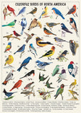 Vintage-Vogel-Puzzle für Erwachsene, 1000 Teile