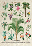 Vintage tropiska växter pussel 1000 bitar